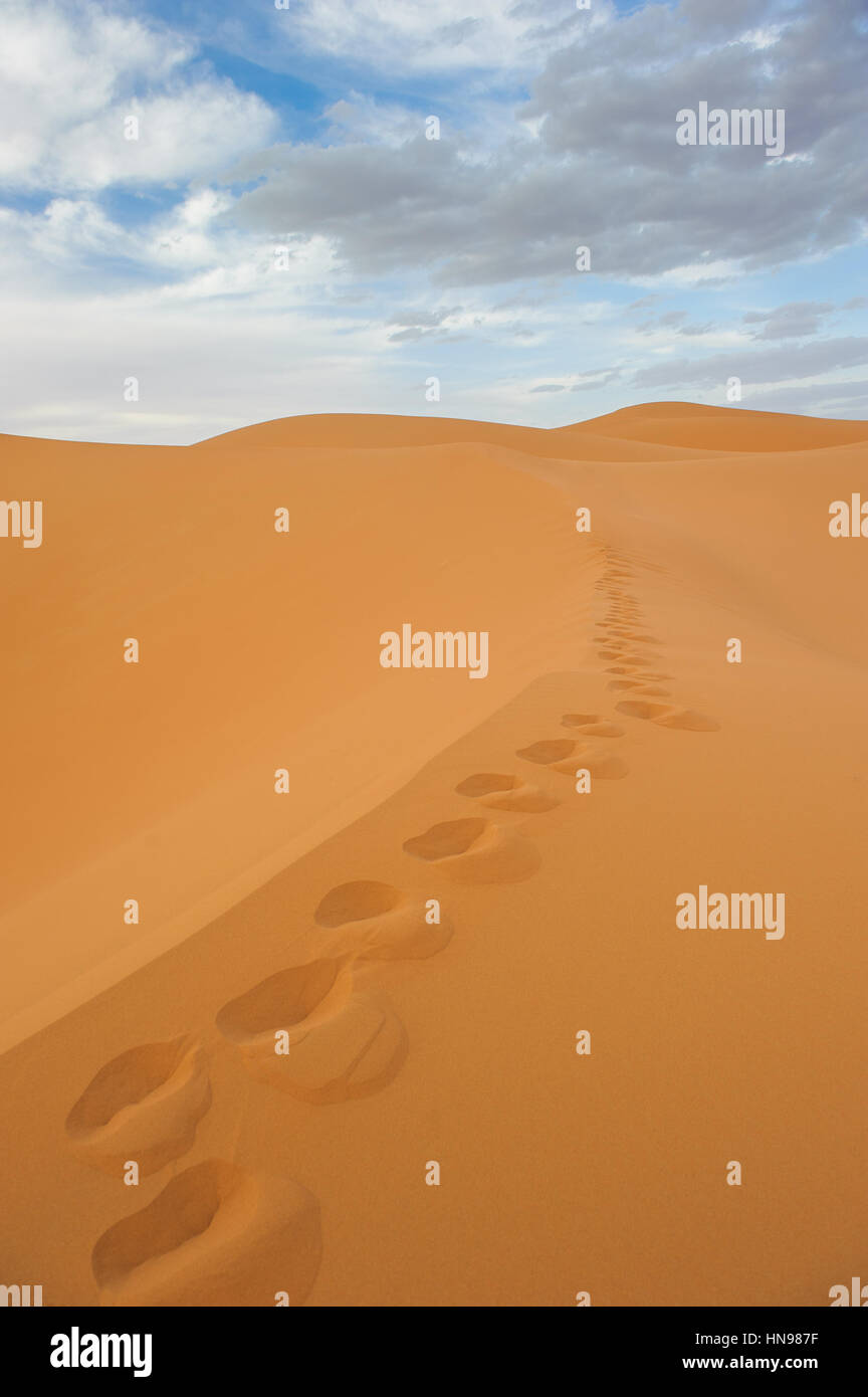 Footprints in sand dunes of Erg Chebbi, Morocco Stock Photo