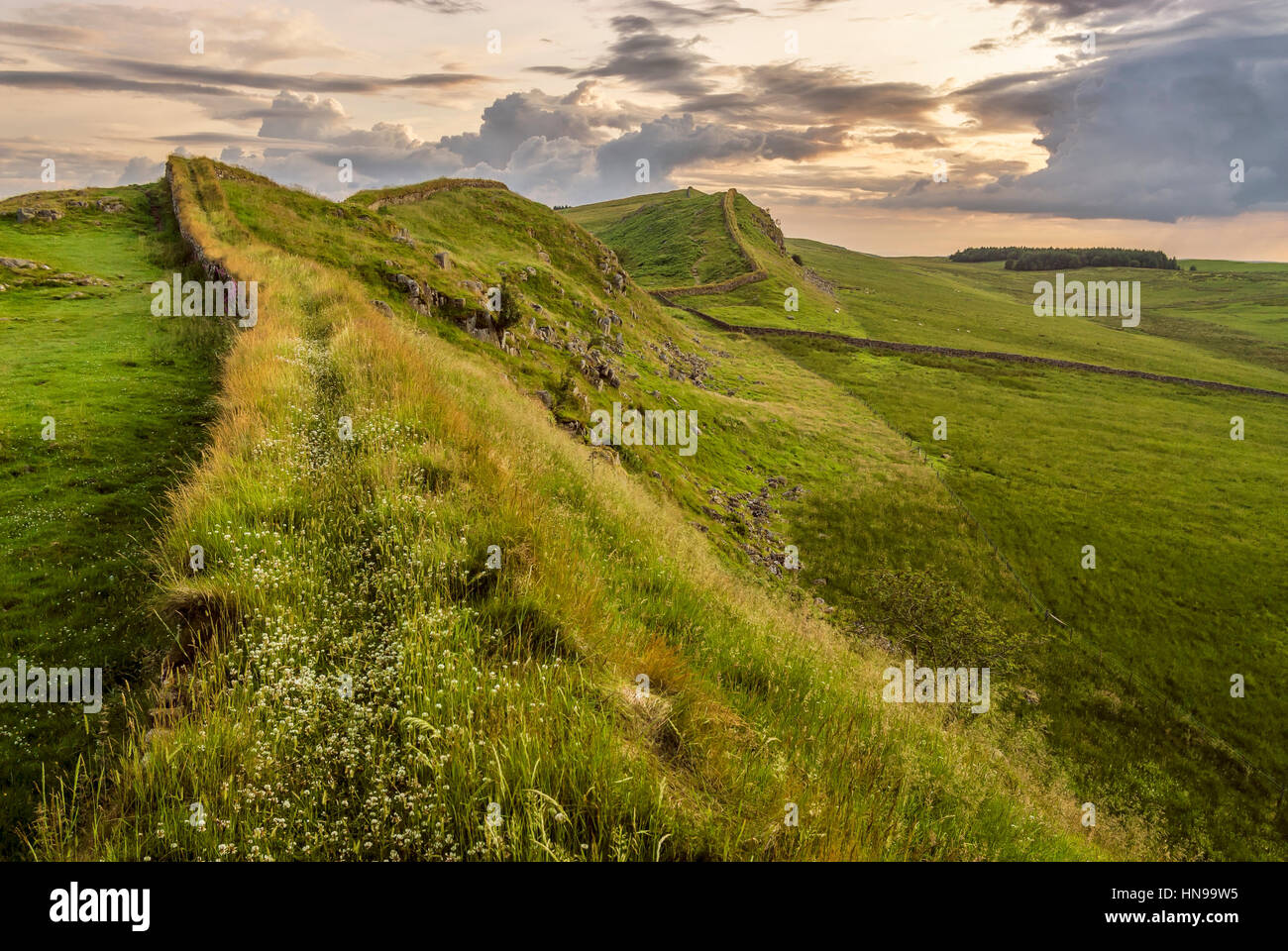 Dawn at the Hadrians Wall, North Cumbria, North England Stock Photo