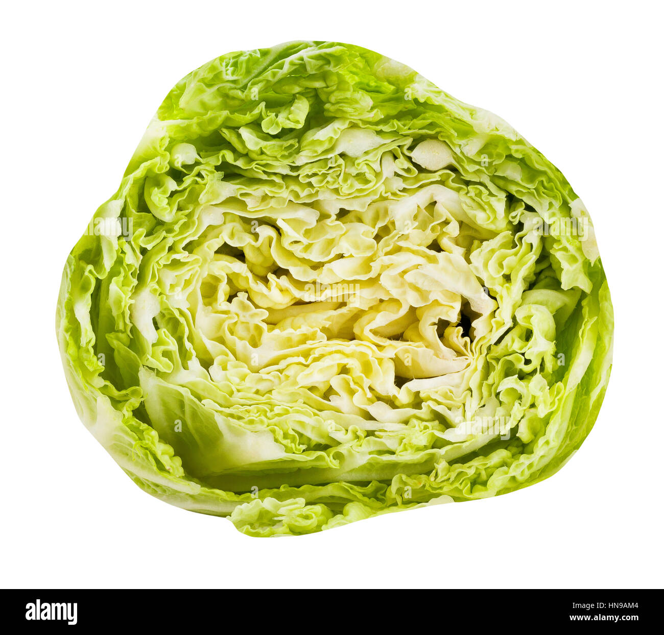 sliced chinese cabbage isolated Stock Photo Alamy
