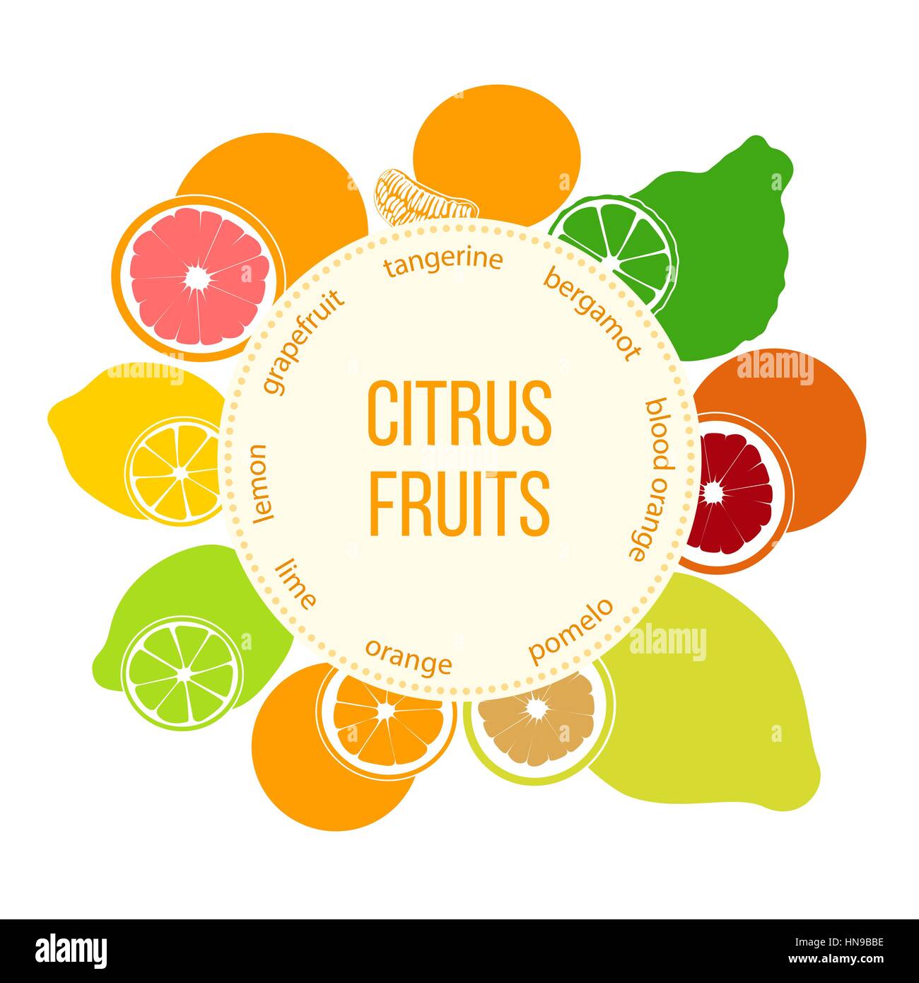 Citrus fruits flat set with round emblem. Bergamot, lemon, grapefruit, lime, mandarin, pomelo