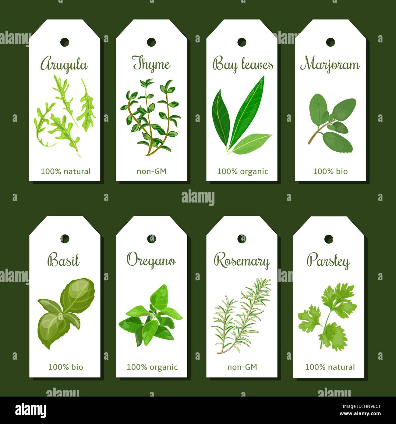 Cooking herbs tags. Cute label set. Culinary herbs. Bunch of seasonings