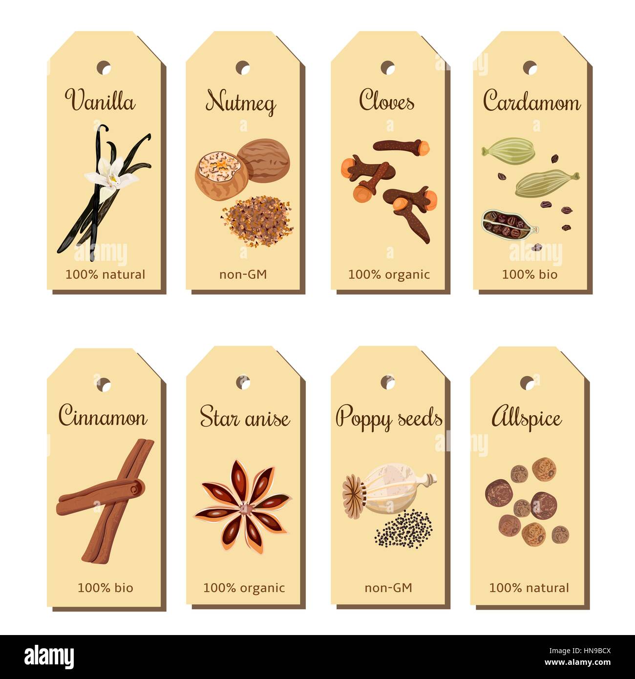 Baking spices tags. Cute label set. Backing set. Bunch of cooking seasonings. For culinary, cosmetics, bakery, bake shop, bakehouse, health care produ Stock Vector