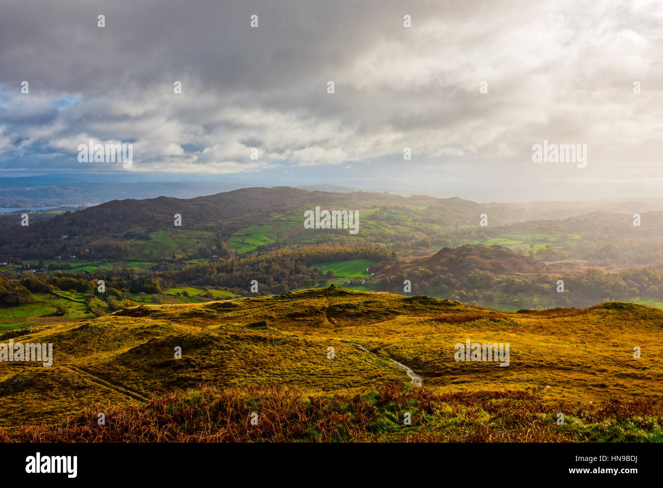South Lakeland fells from Lingmoor Fell in the Lake District National Park, Cumbria, England. Stock Photo