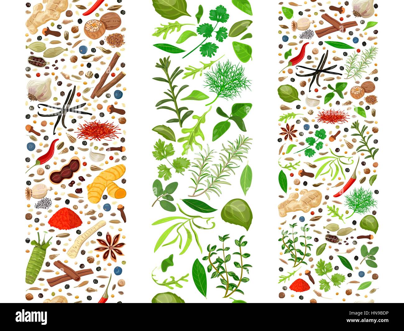 Popular culinary herbs and spices set organized in three ribbons. Cooking seasonings poster. Design for decoration, cosmetics, store, health care prod Stock Vector