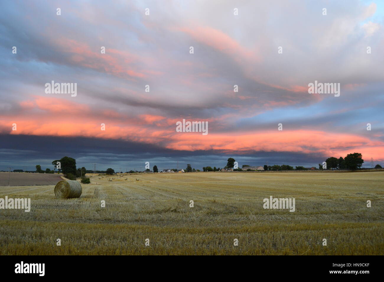 Standing stone maze in the mist Stock Photo