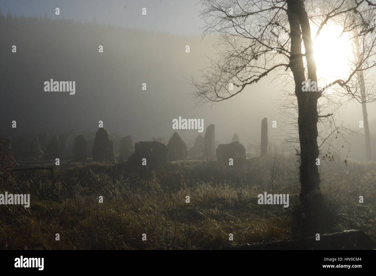 Standing stone maze in the mist Stock Photo