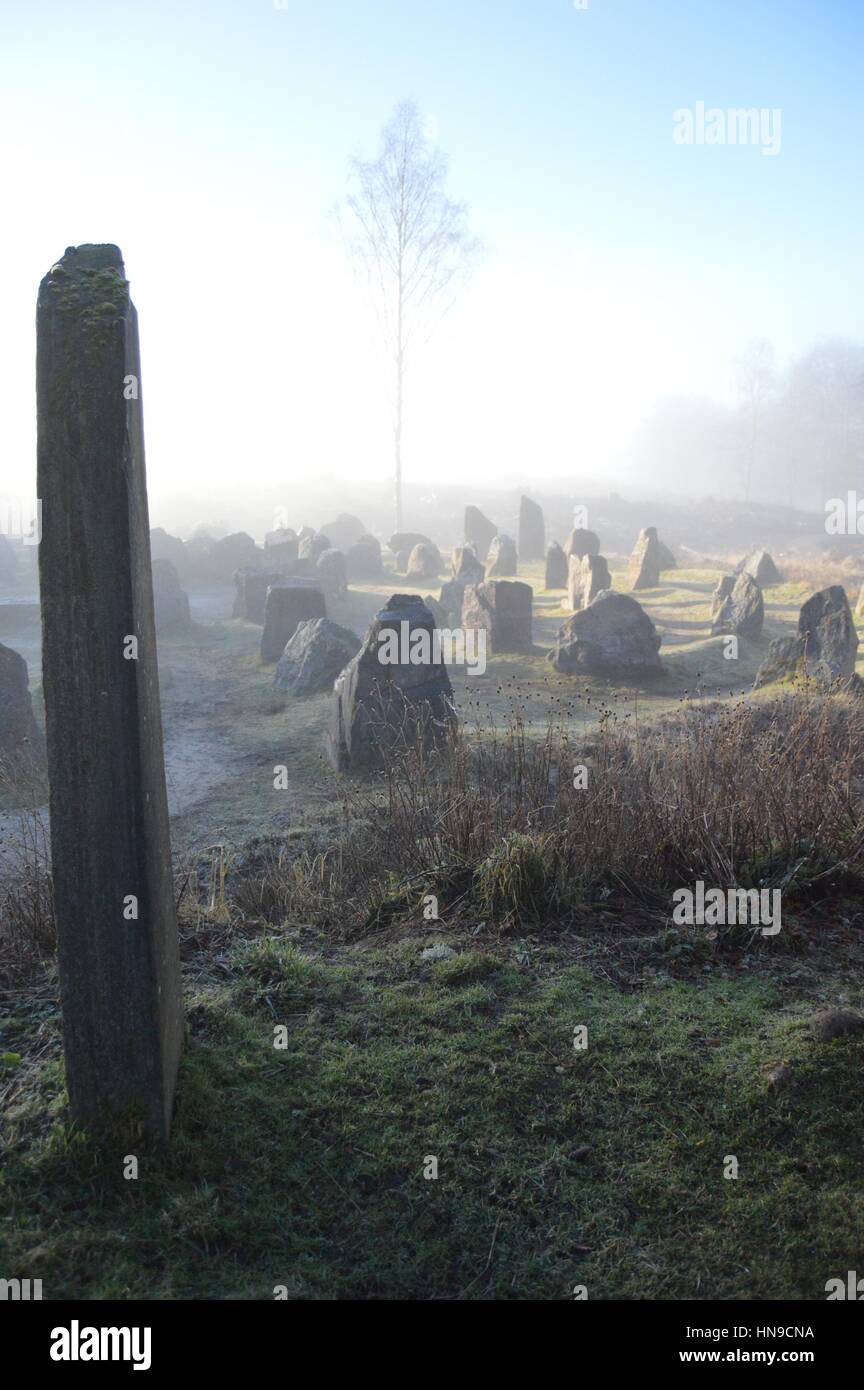 Standing stone maze in the mist Stock Photo