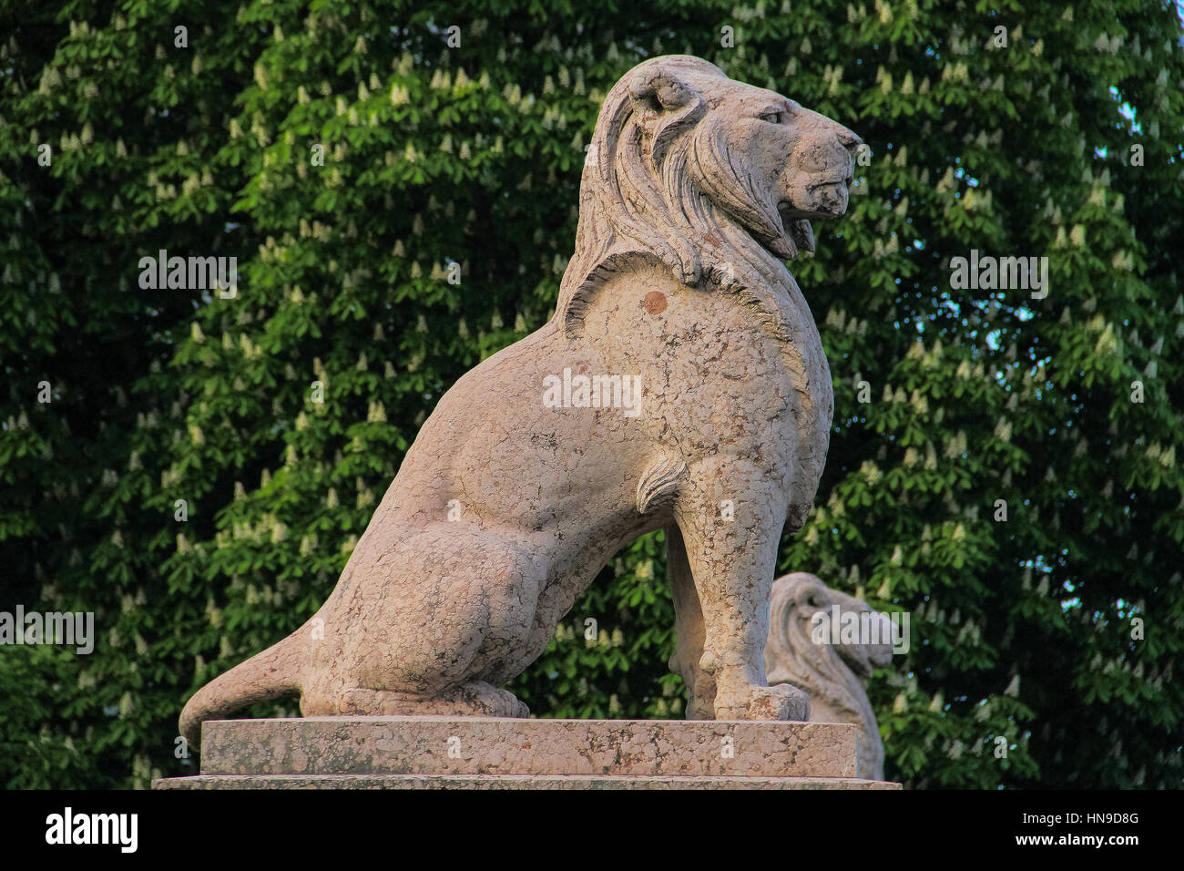 Lion statue in front of a palace, Vienna Stock Photo