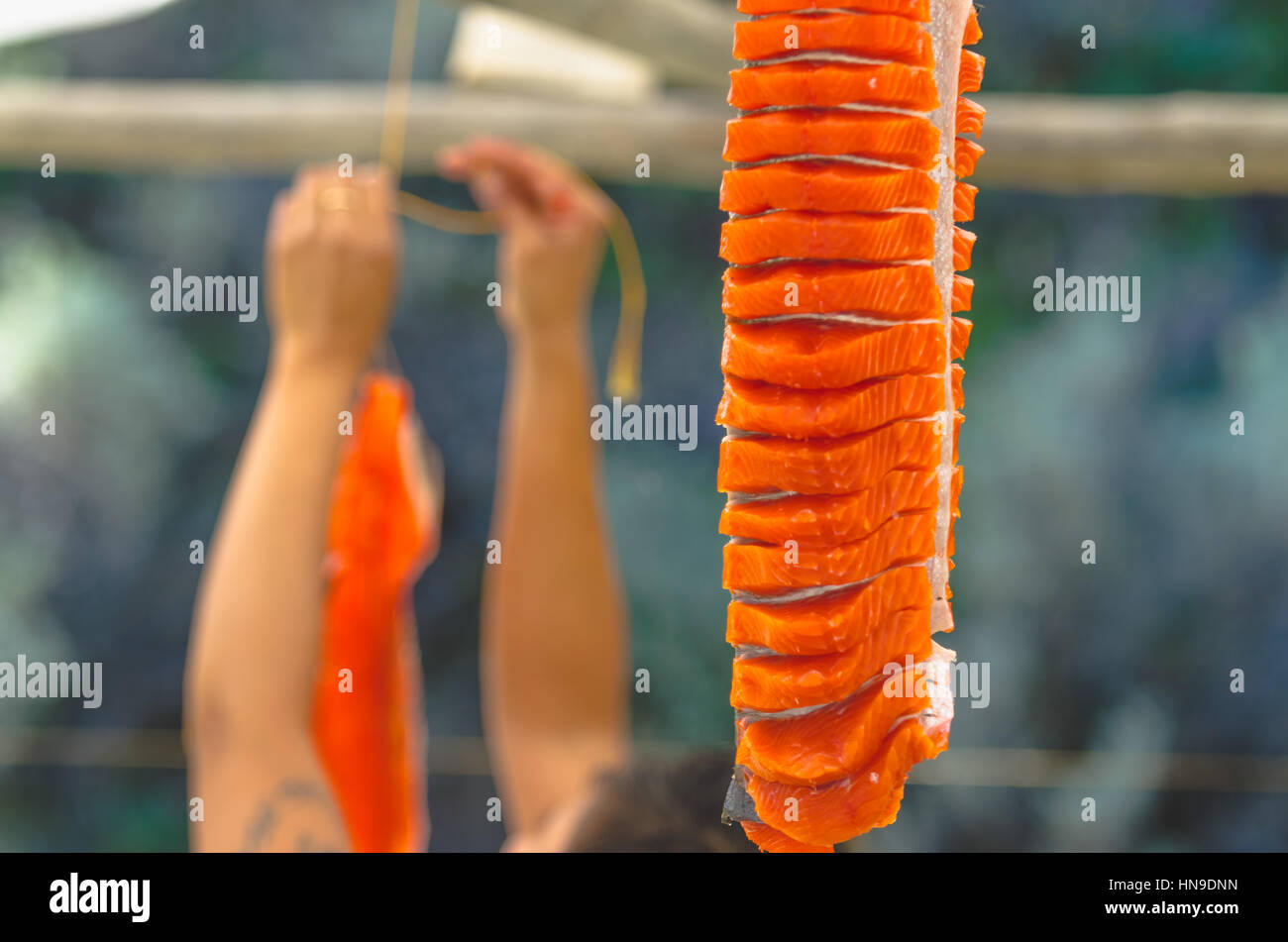 traditional first nation salmon curing after net fishing Stock Photo ...