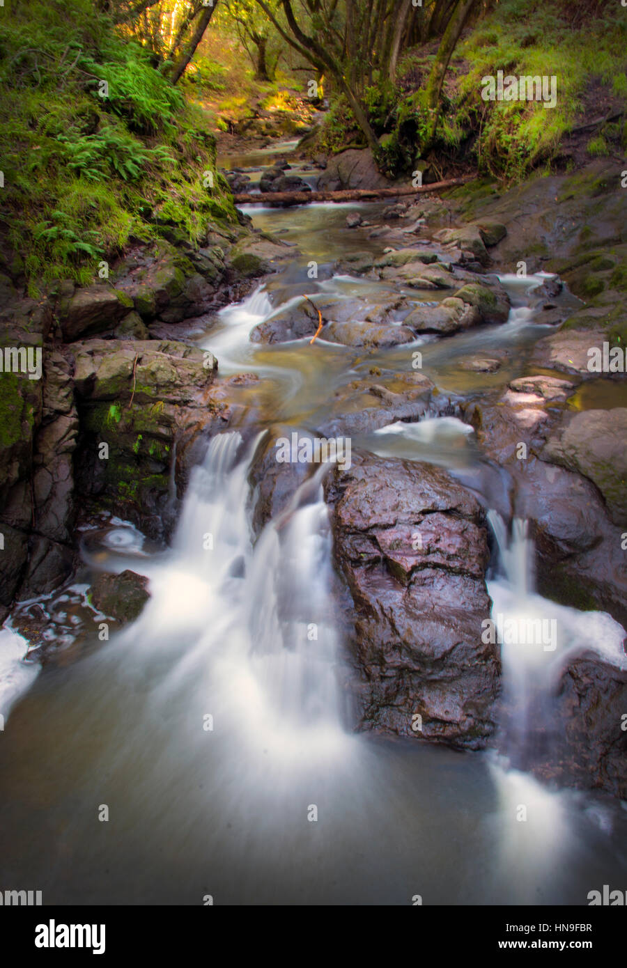 Wildcat Creek, Tilden Regional Park, California Stock Photo Alamy