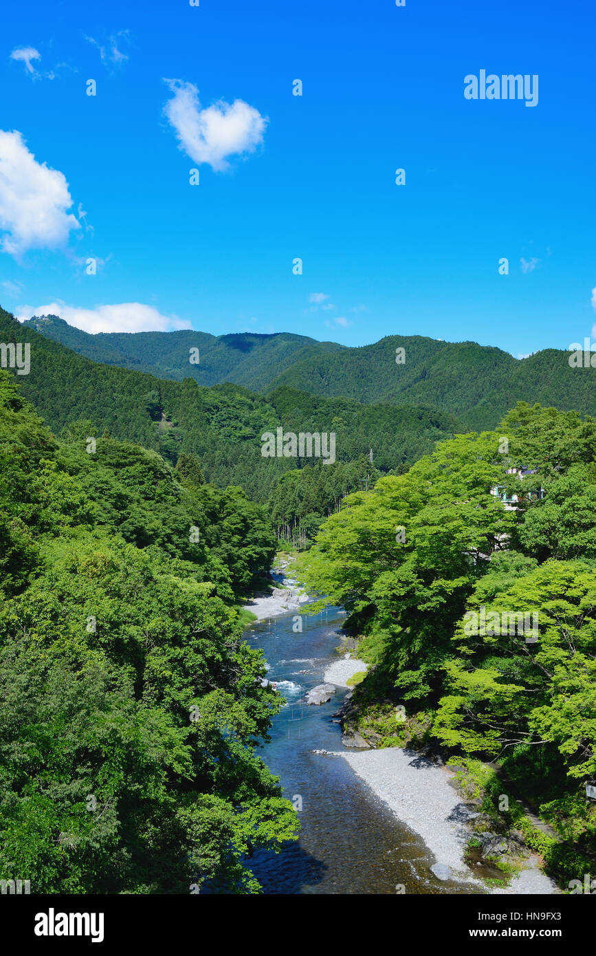 Fresh green at Otaki Valley, Tokyo, Japan Stock Photo Alamy
