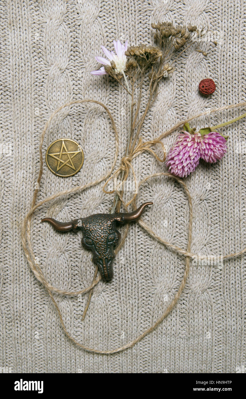 Composition with pressed flowers, pentacle and skull amulet Stock Photo