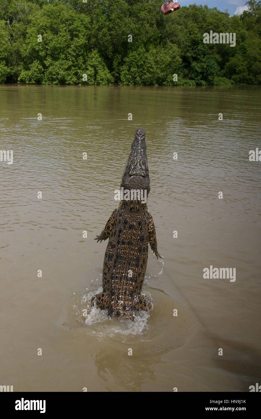 Adelaide River, Northern Territories, Australia Stock Photo Alamy