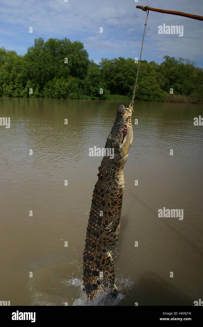 Adelaide River, Northern Territories, Australia Stock Photo Alamy