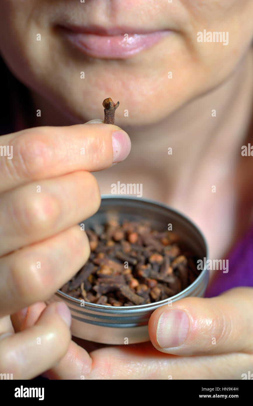 Woman chew dried clove spice for fresh breath Stock Photo Alamy