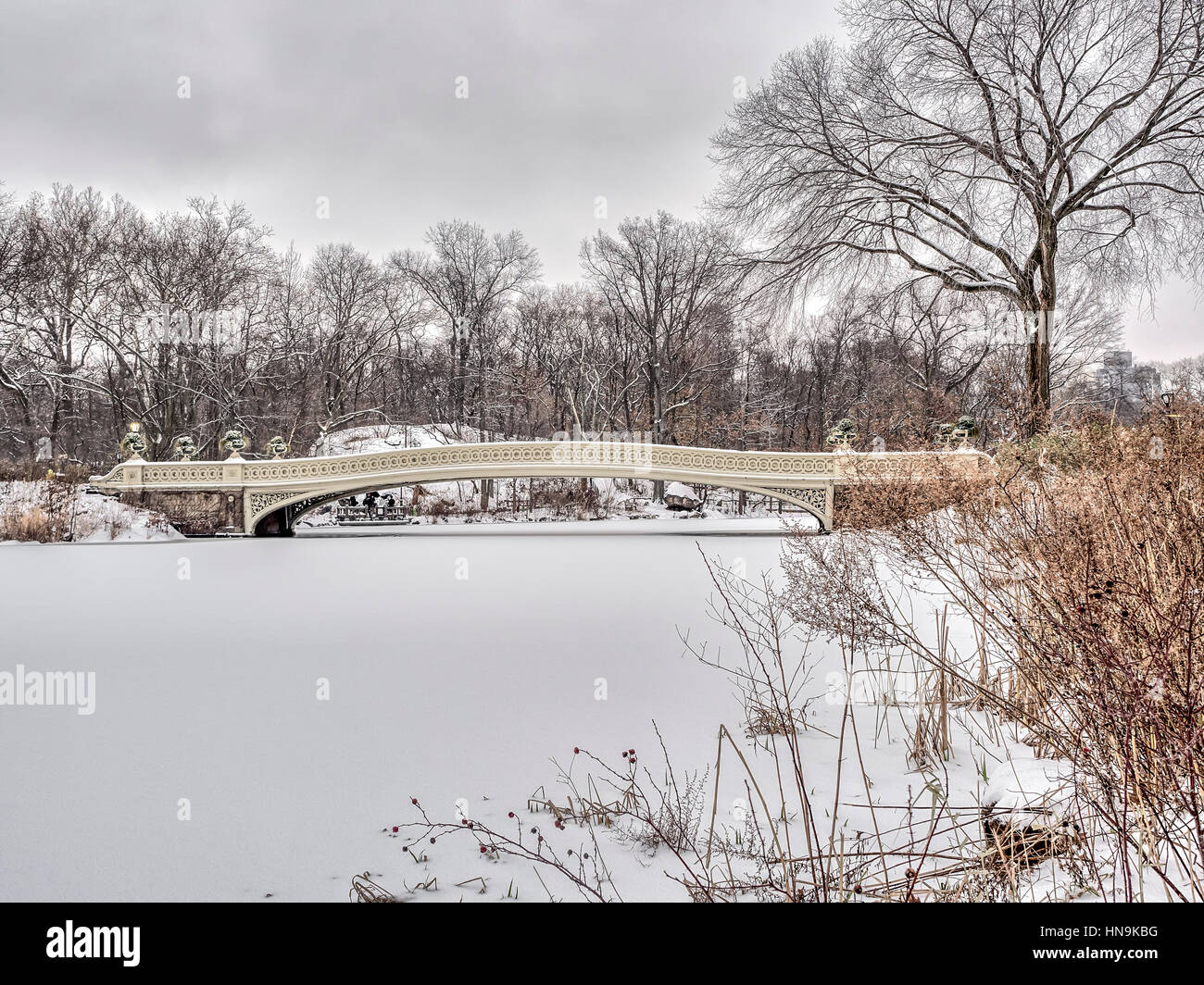 The Bow Bridge is a cast iron bridge located in Central Park, New York ...