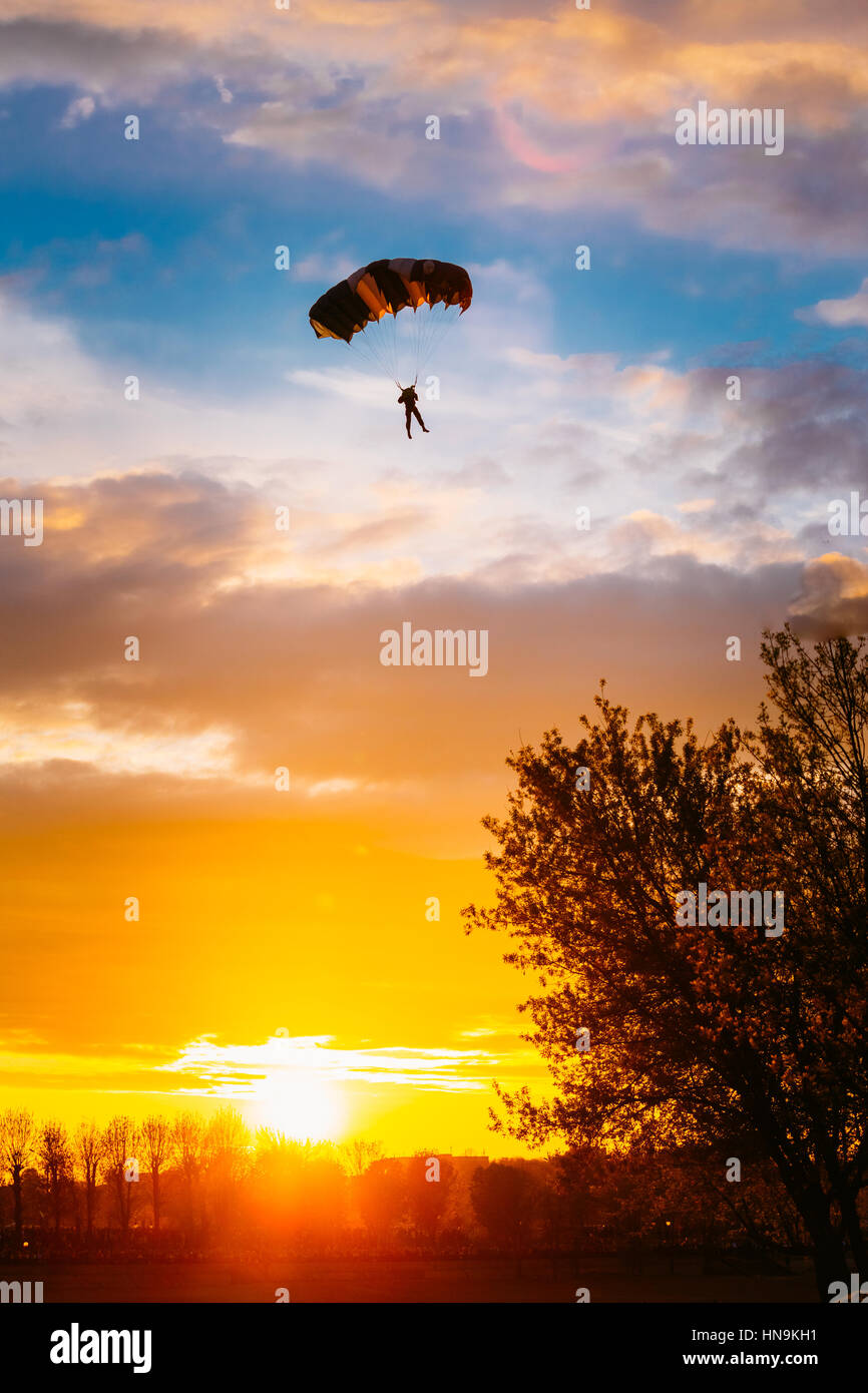Skydiver On Colorful Parachute In Sunny Clear Sky. Active Hobbies.  Sun Over Dark Ground Stock Photo