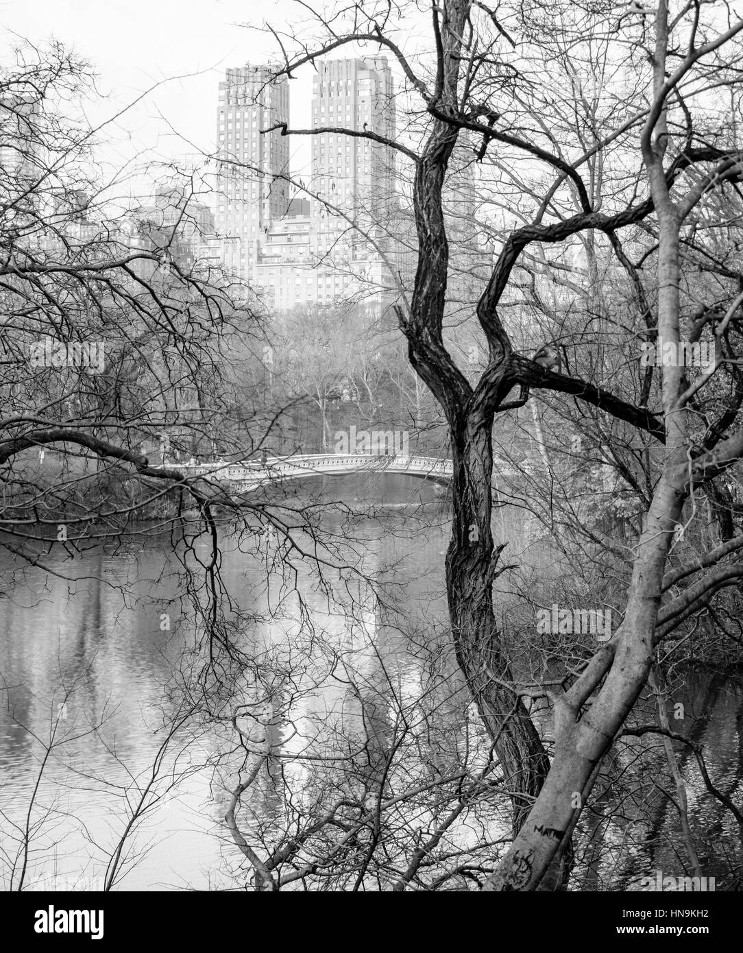 The Bow Bridge is a cast iron bridge located in Central Park, New York ...