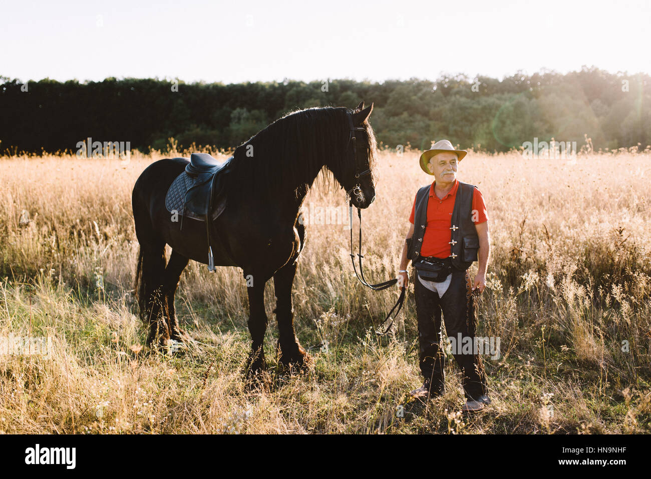 Old male cowboy with his black saddled horse, contemplating on a ranch field, looking away Stock Photo