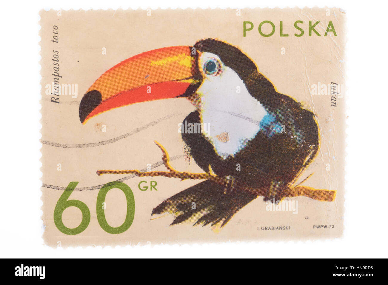 POLAND - CIRCA 1972: A stamp printed in  shows toucan, ser Stock Photo