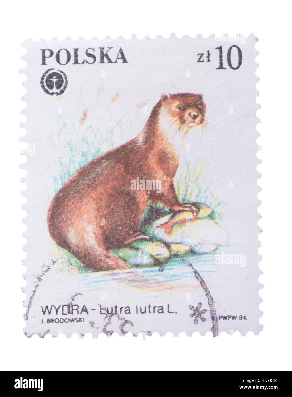 POLAND - CIRCA 1984: A Stamp printed in  shows image of Stock Photo