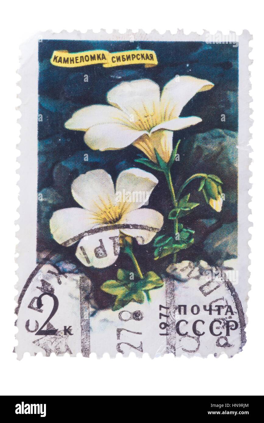 RUSSIA - CIRCA 1977: a stamp printed in the  shows Siberia Stock Photo