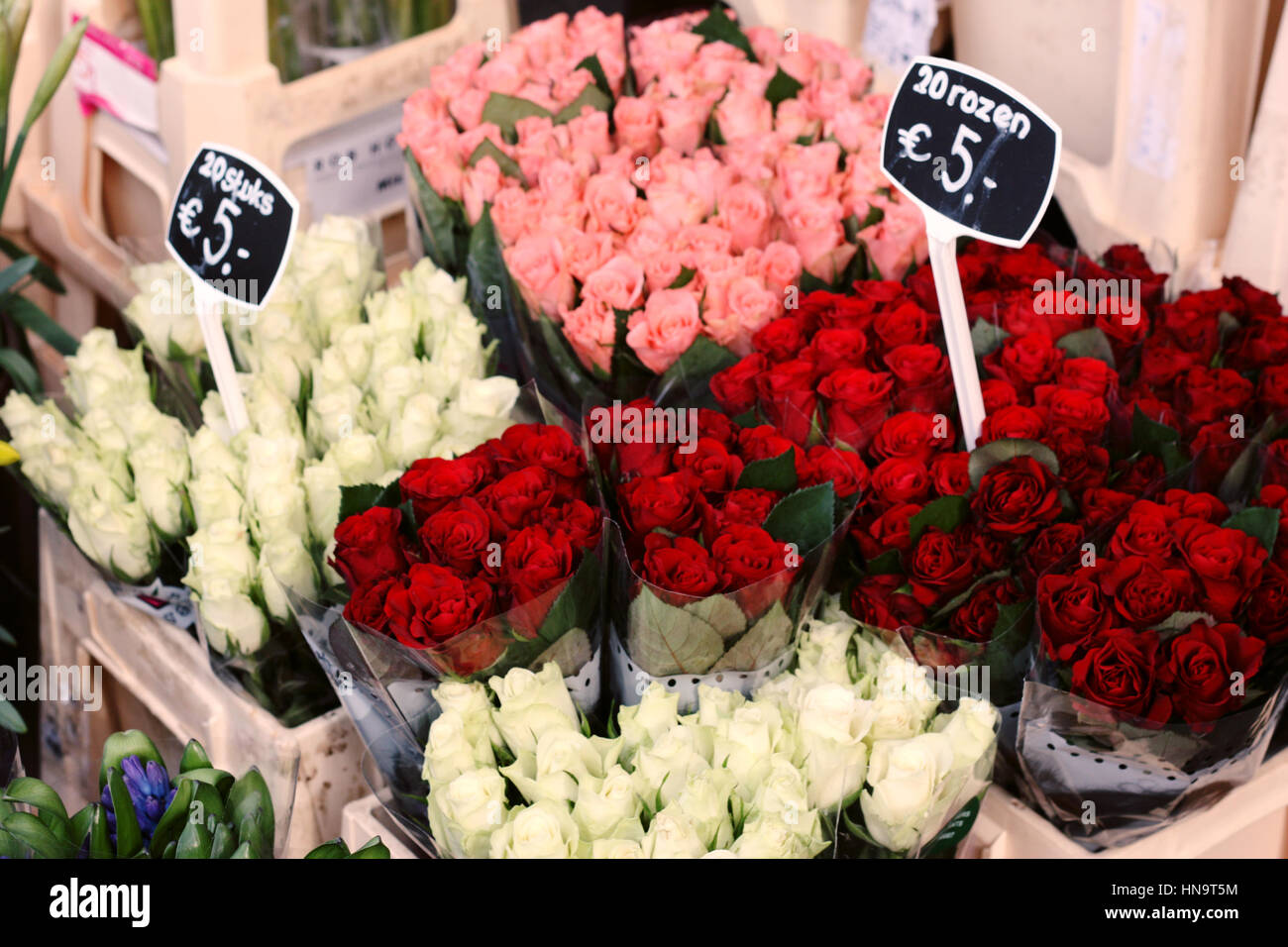 Amsterdam flower market hires stock photography and images Alamy
