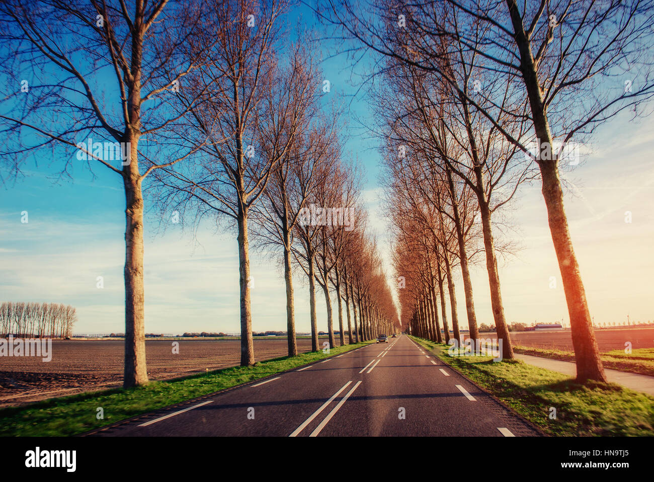 Asphalt road is lit at sunset Stock Photo - Alamy