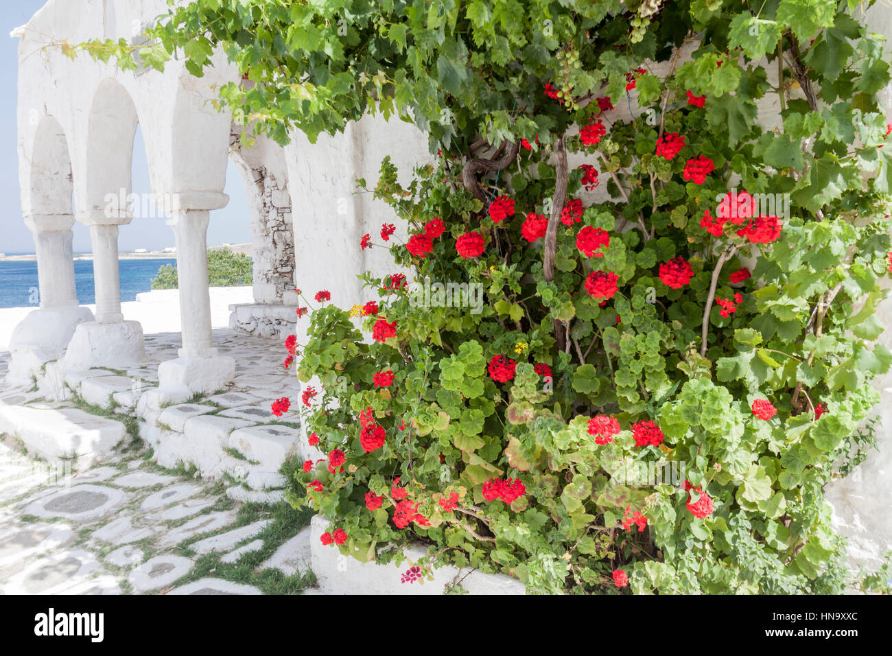 Typical Street with Flowers Paros Greece Stock Photo