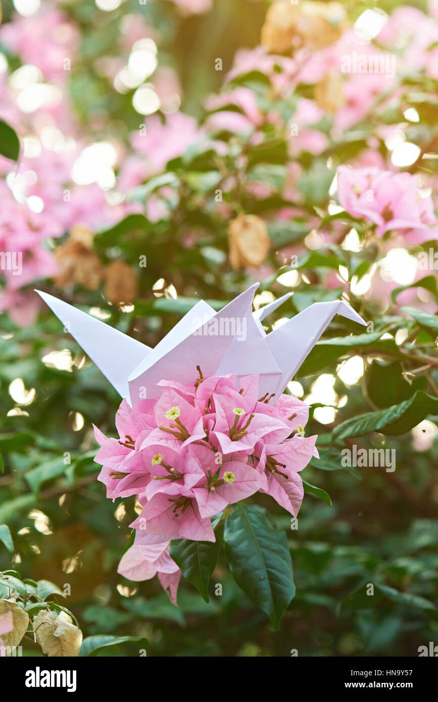 white paper crane on nature blurred garden background Stock Photo Alamy