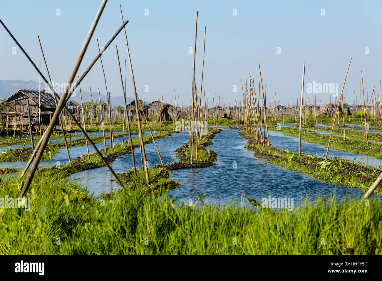 Floating gardens at Inle Lake, Myanmar Stock Photo Alamy