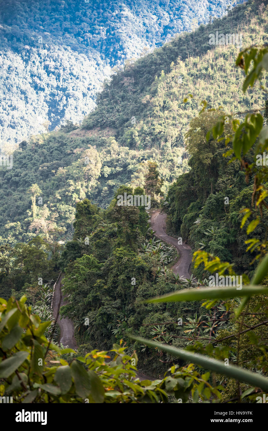 The Tawang highway passes through subtropical forest as it descends from the Himalayan foothills towards the lowlands of Assam, northeast India Stock Photo
