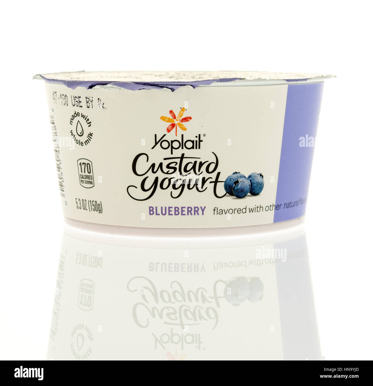 Winneconne, WI -9 February 2017: Container of Yoplait custard yogurt in blueberry flavor on an isolated background. Stock Photo