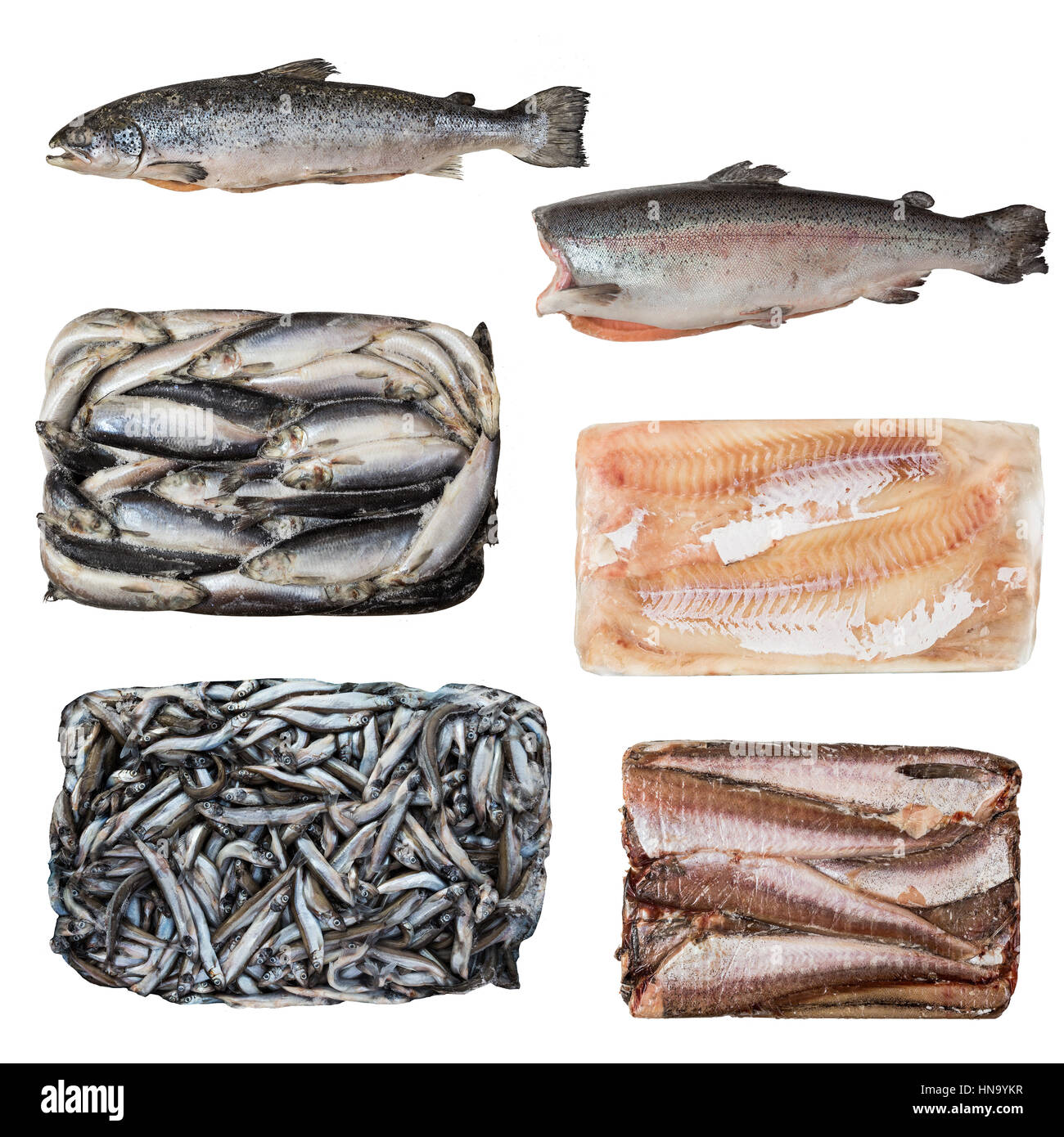 set of a different frozen fish. isolated on white backgound Stock Photo Alamy