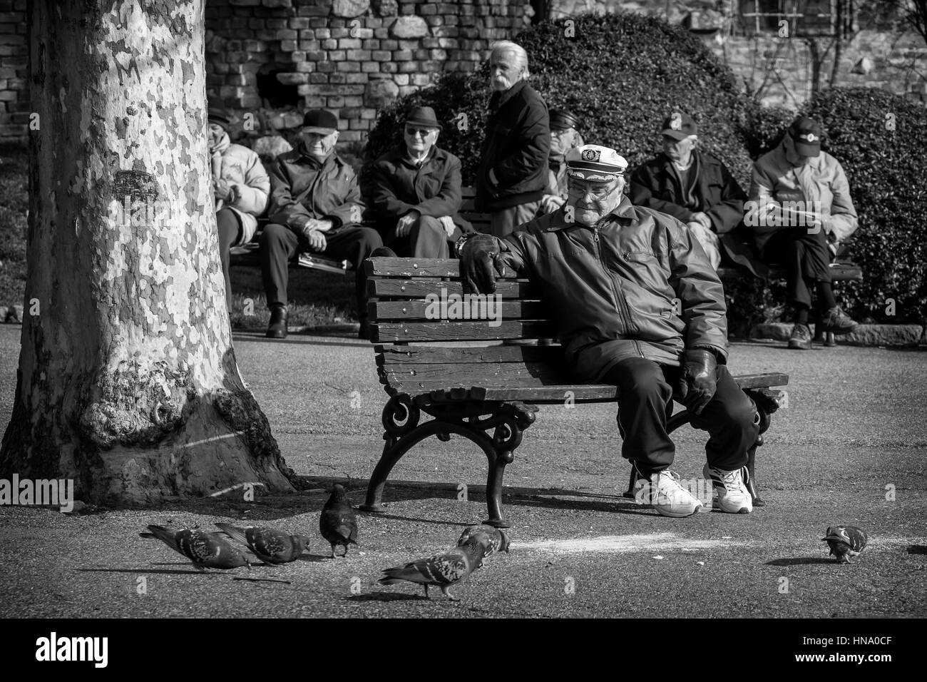 Belgrade, Serbia - February 27, 2016: Retirees enjoy the sun in the park on a bench and looking pigeons Stock Photo