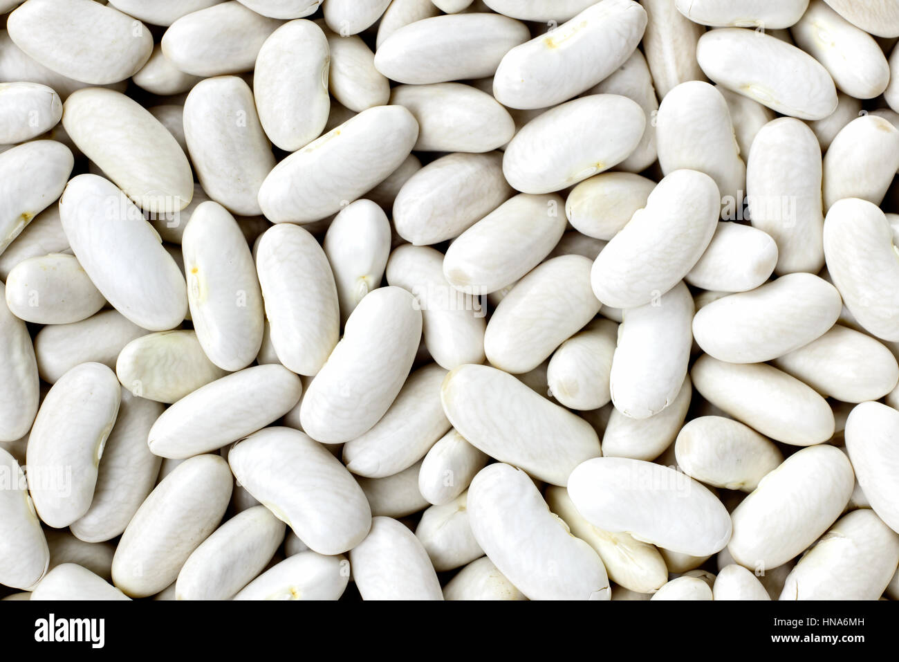 Navy, haricot, white pea, white kidney or Cannellini beans texture background or pattern. Raw legume food. Stock Photo