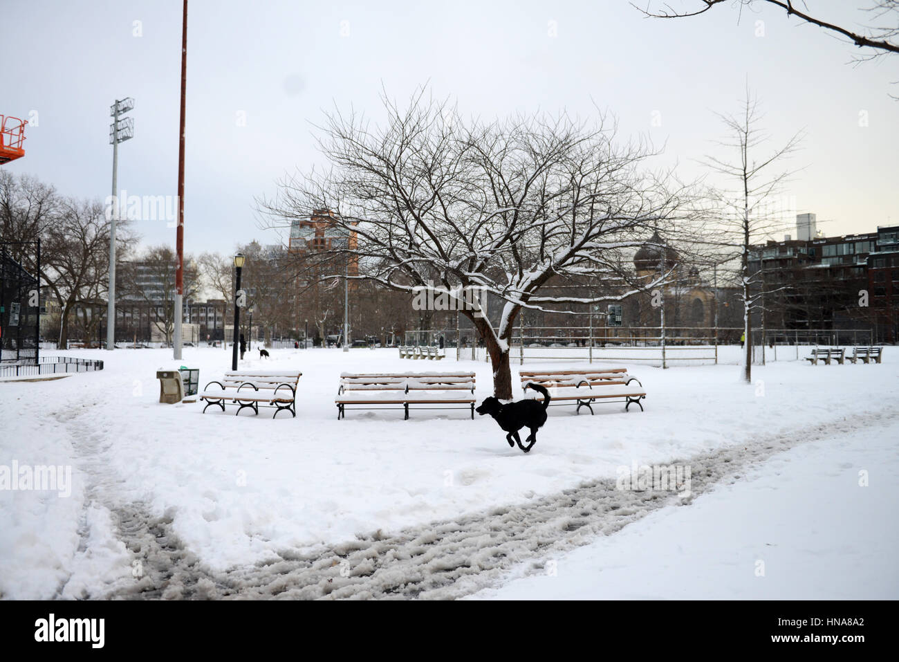 McCarren Park, Williamsburg, Brooklyn, NYC Stock Photo Alamy
