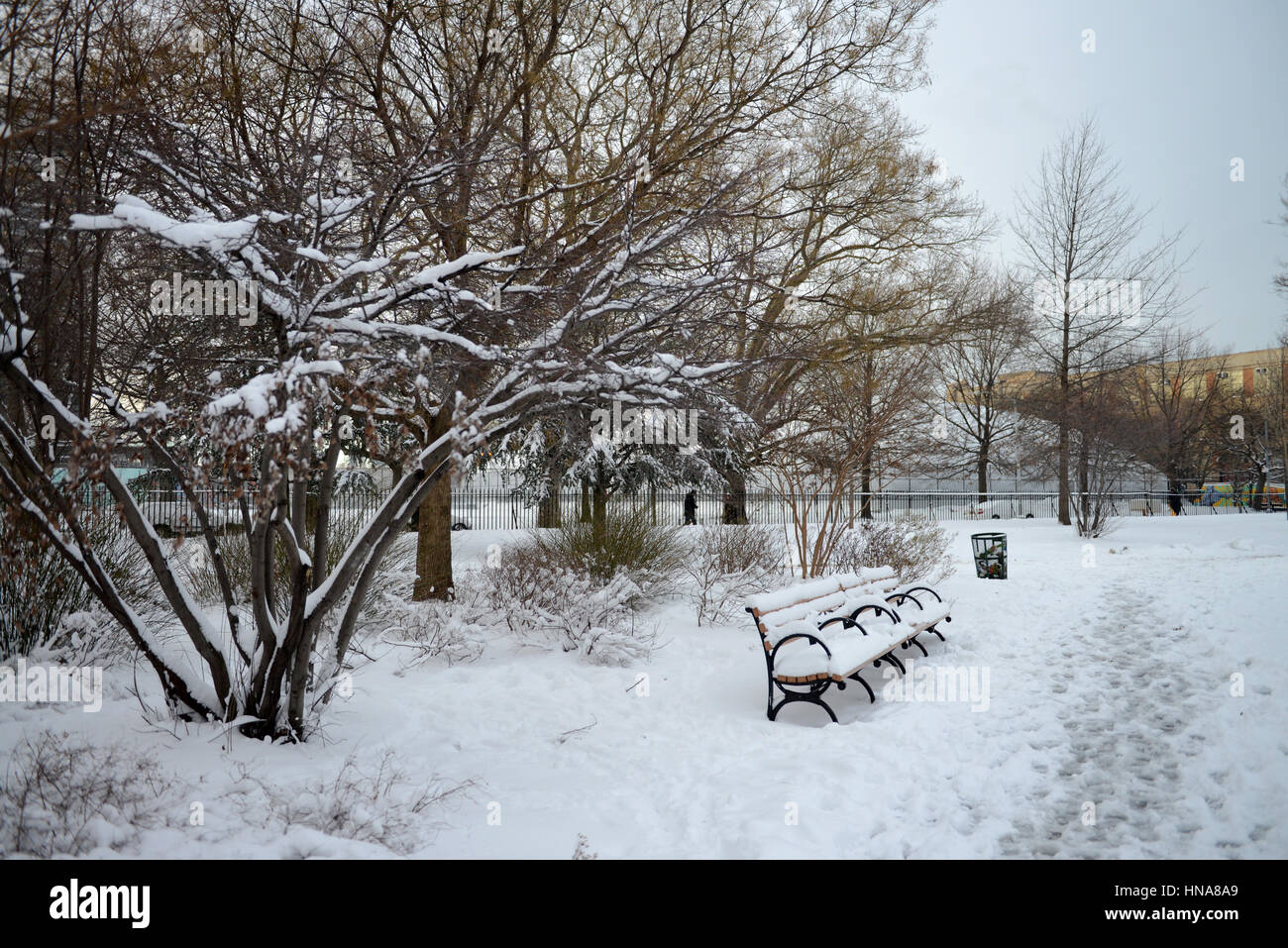 McCarren Park, Williamsburg, Brooklyn, NYC Stock Photo Alamy