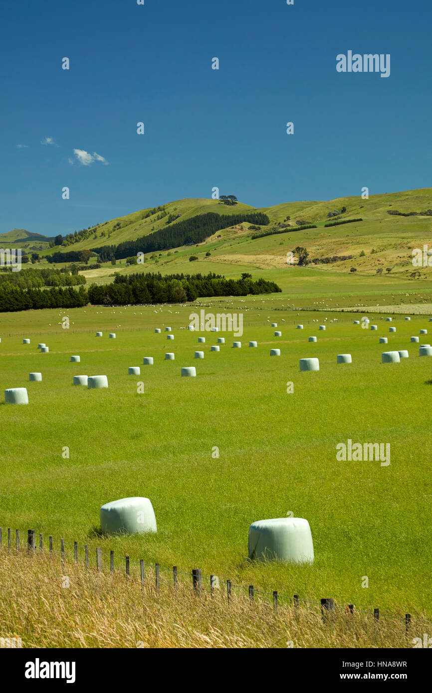 Hay bales and farmland near Martinborough, Wairarapa, Lower North