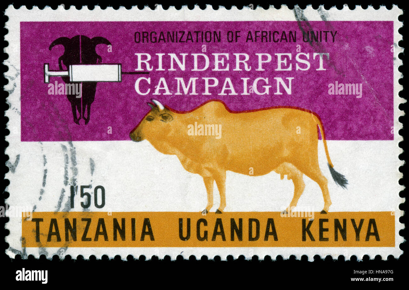 Postmarked stamp from British East Africa (Kenya, Uganda and Tanganyika) in the Rinderpest Campaign series issued in 1971 Stock Photo