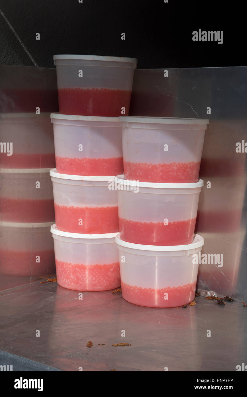 Fish eggs river hires stock photography and images Alamy