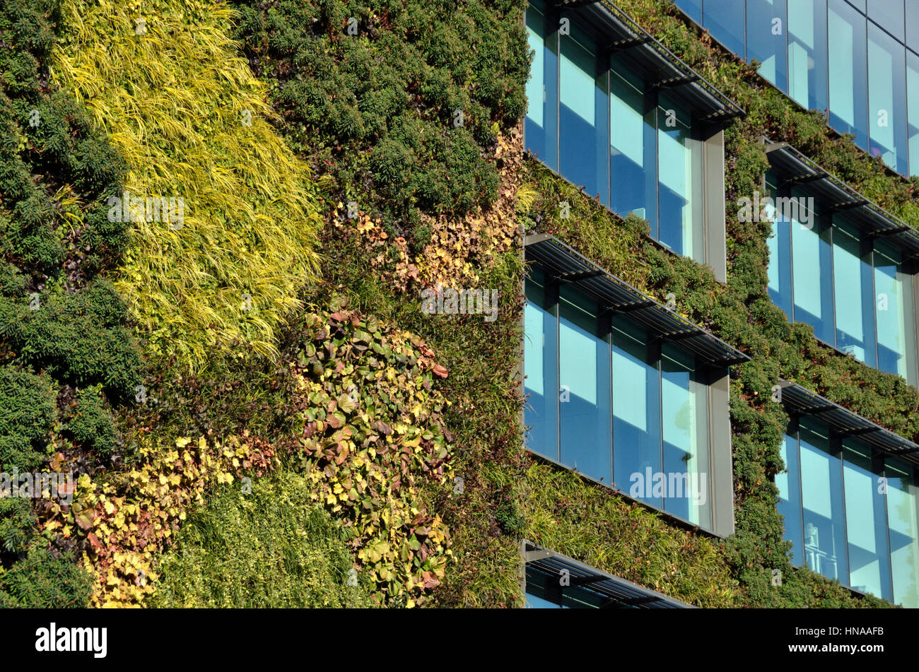 Office building covered with green plants Stock Photo