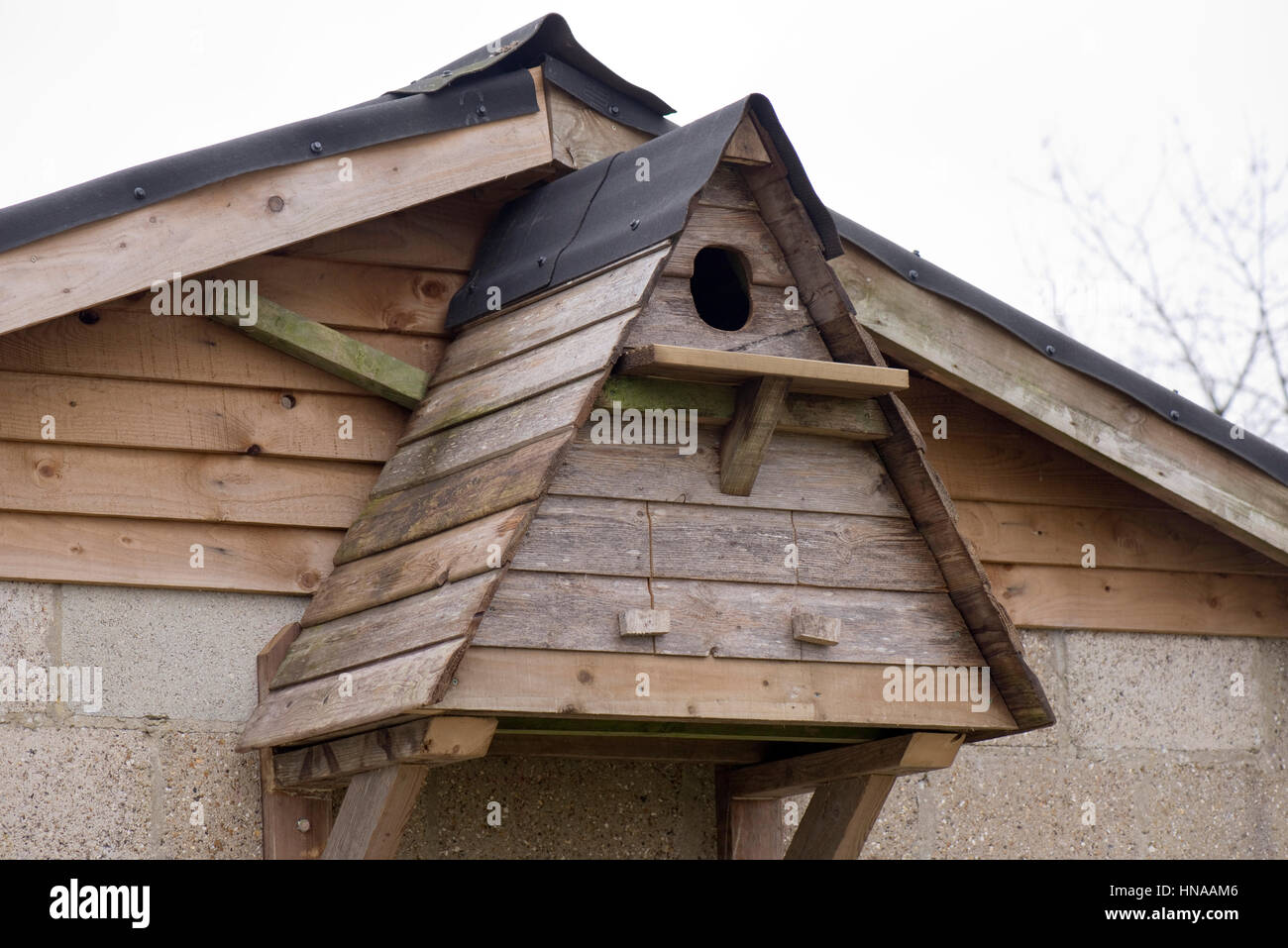 Homemade owl nestbox intended for barn owls. Tyto alba, constructed from recycled wood Stock Photo