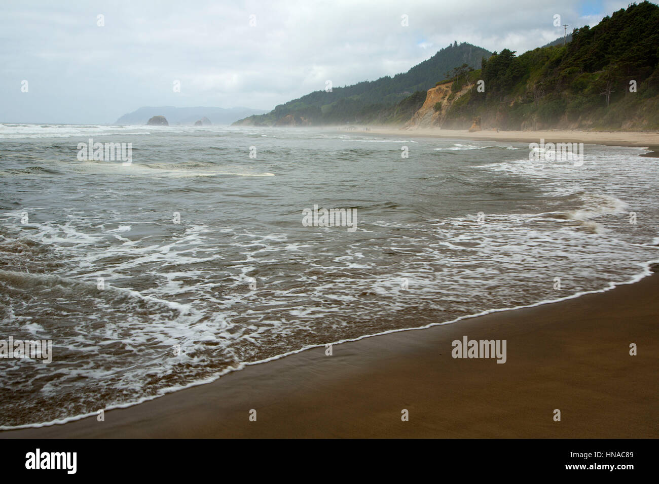 Beach surf, Arcadia State Park, Oregon Stock Photo