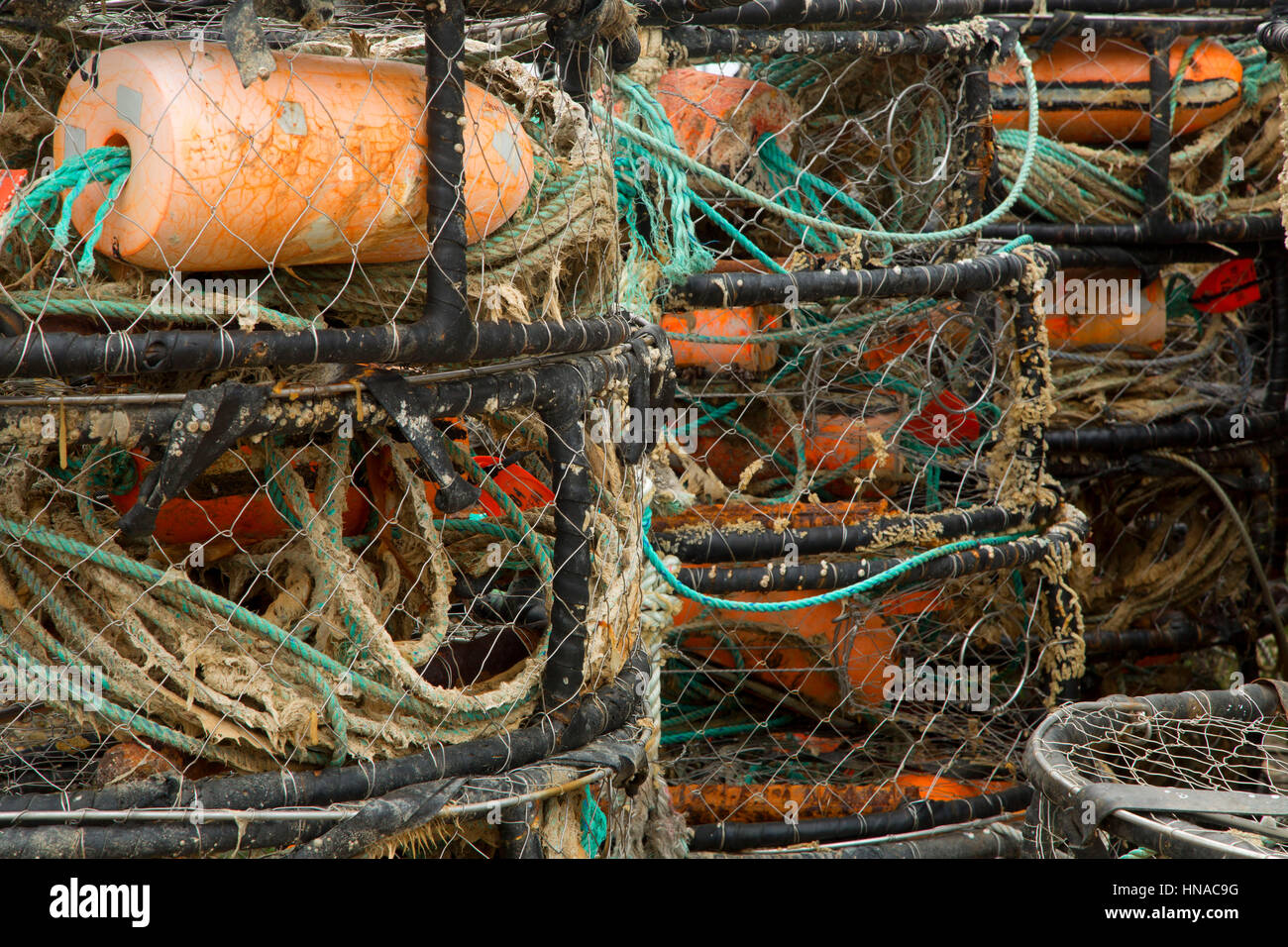 Crab pots at Garibaldi Marina, Garibaldi, Oregon Stock Photo Alamy