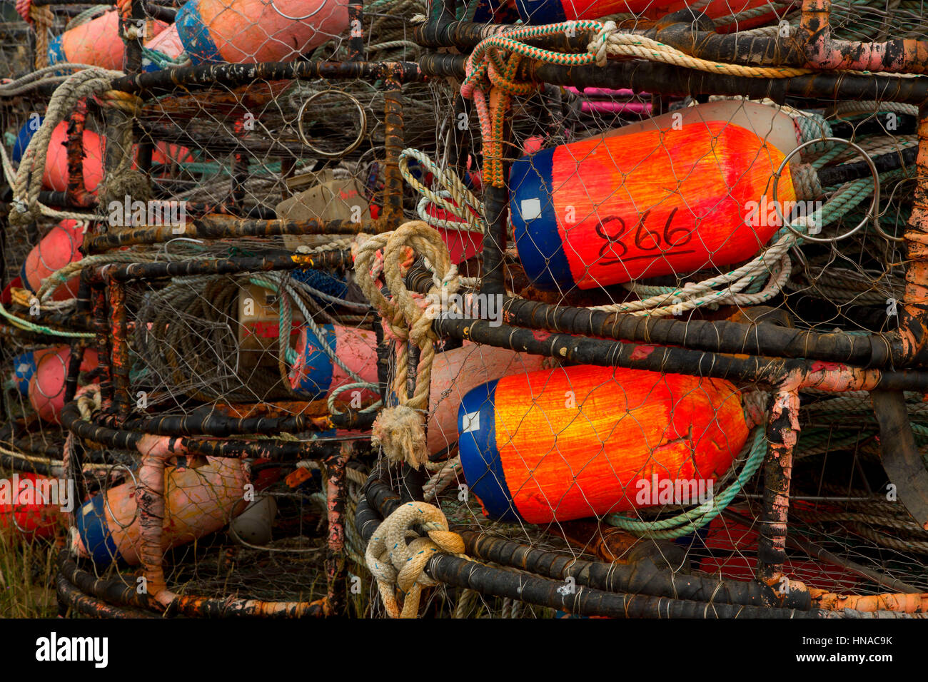 Crab pots at Garibaldi Marina, Garibaldi, Oregon Stock Photo Alamy