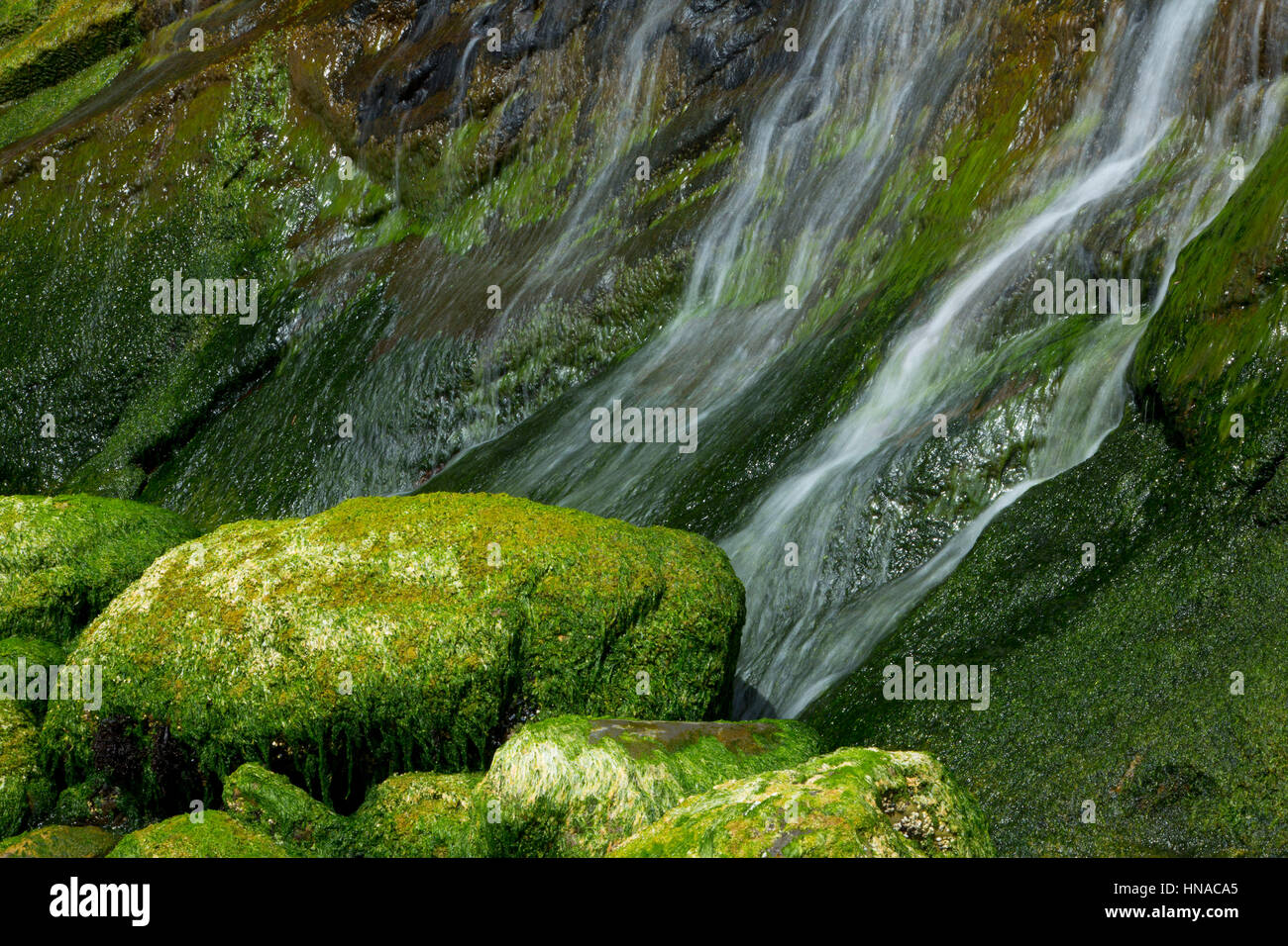 Waterfall on Short Sand Beach, Oswald West State Park, Oregon Stock Photo