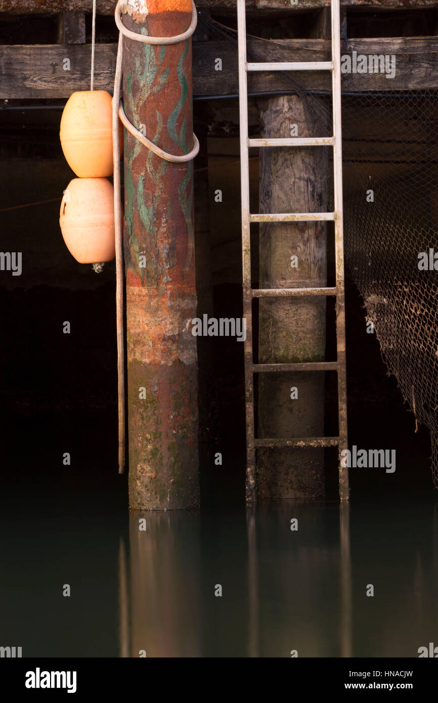 Dock ladder, Garibaldi Marina, Garibaldi, Oregon Stock Photo Alamy