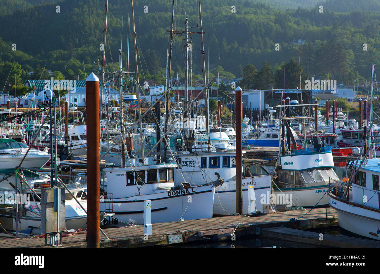 Docked boats, Garibaldi Marina, Garibaldi, Oregon Stock Photo Alamy