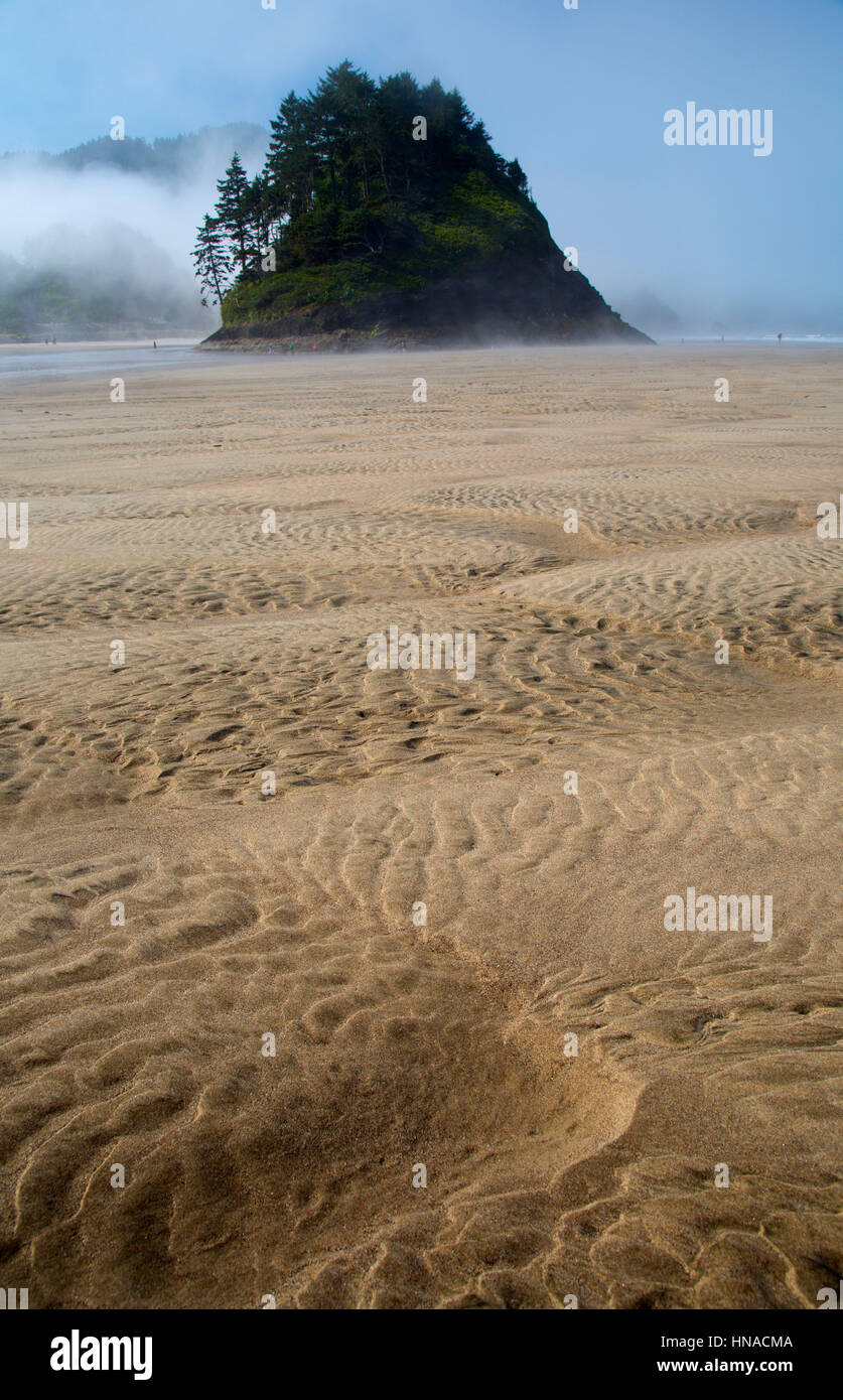 Proposal Rock on beach, Neskowin Beach State Park, Oregon Stock Photo